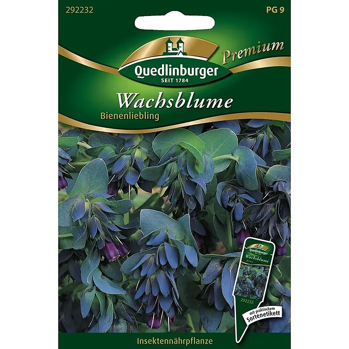 Quedlinburger SAATGUT Blumensamen Wachsblume - Cerinthe major, Blau - Quedlinburger Wachsblume Samenpäckchen mit dunklen, glockenförmigen Blüten, eine Bienen- und Insektennährpflanze.