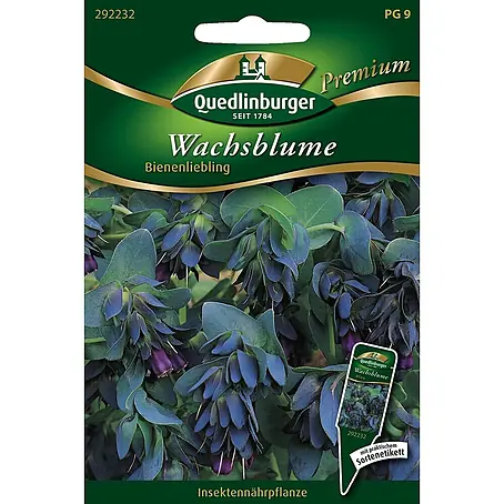 Quedlinburger SAATGUT  Blumensamen Wachsblume