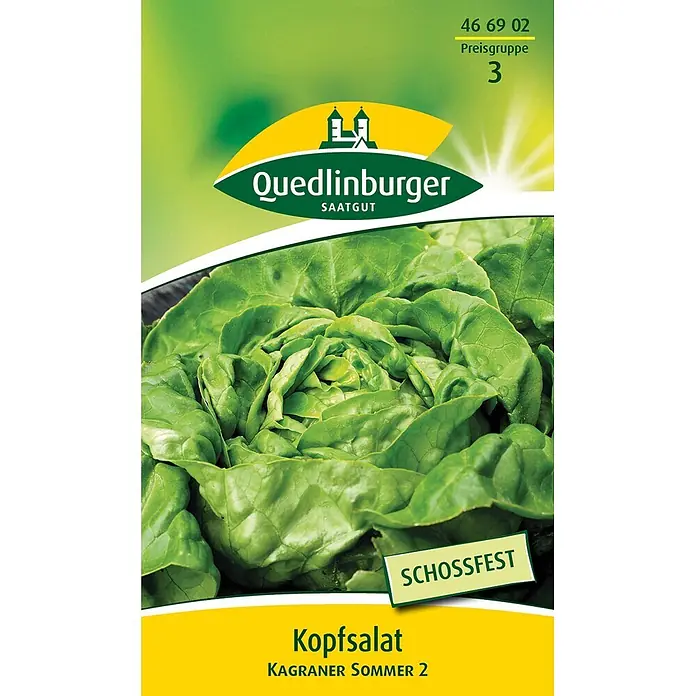 Quedlinburger SAATGUT Salatsamen Kopfsalat - Lactuca sativa, Erntezeit: Mai, 3,5 g - Quedlinburger Kopfsalat Samen, Sorte Kagraner Sommer 2, schossfest.