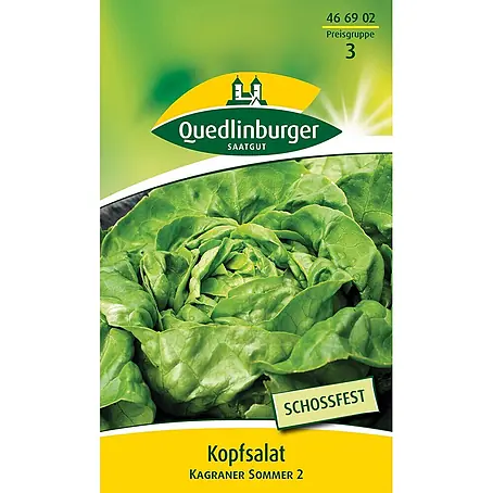 Quedlinburger SAATGUT  Salatsamen Kopfsalat