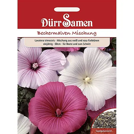 Dürr Samen  Blumensamen Bechermalve