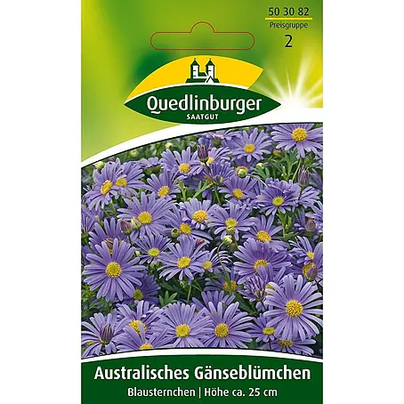 Quedlinburger SAATGUT  Blumensamen Gänseblümchen