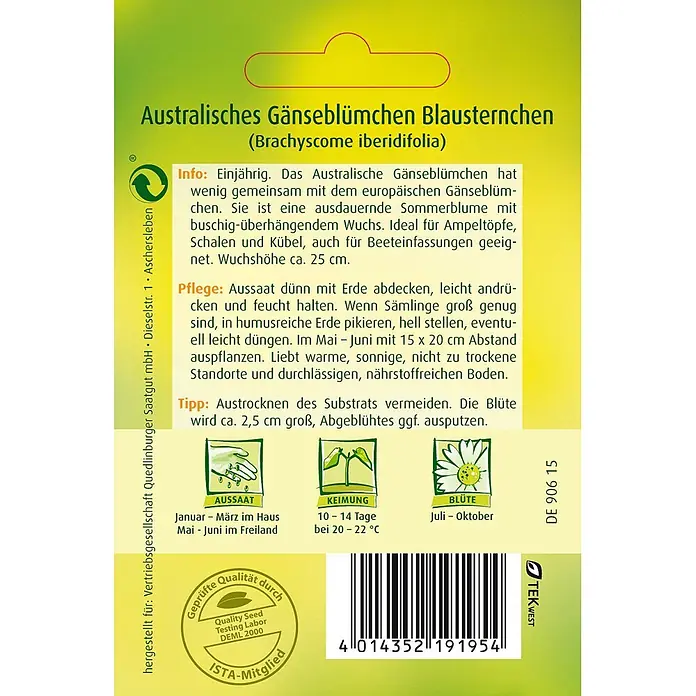 Quedlinburger SAATGUT Blumensamen Gänseblümchen - Brachyscome iberidifolia, Lila - Grüner und gelber Samenbeutel für Australisches Gänseblümchen Brachyscome iberidifolia mit Aussaatanleitung und Pflanzeninfos.