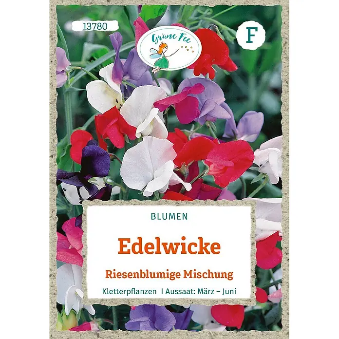 Grüne Fee Blumensamen Edelwicke - Lathyrus odoratus, Mehrfarbig - Samenpäckchen für farbenfrohe, riesenblumige Edelwicken, eine Kletterpflanzen-Mischung. Aussaat: März-Juni.