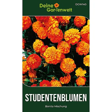 Deine Gartenwelt Studentenblume Tagetes Bonita Mischung