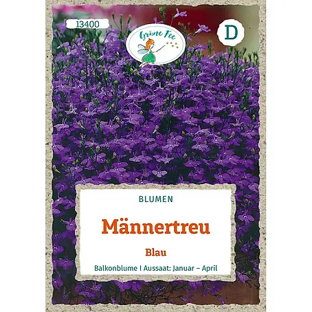 Grüne Fee  Blumensamen Männertreu