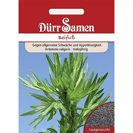 Dürr Samen  Kräutersamen Beifuß