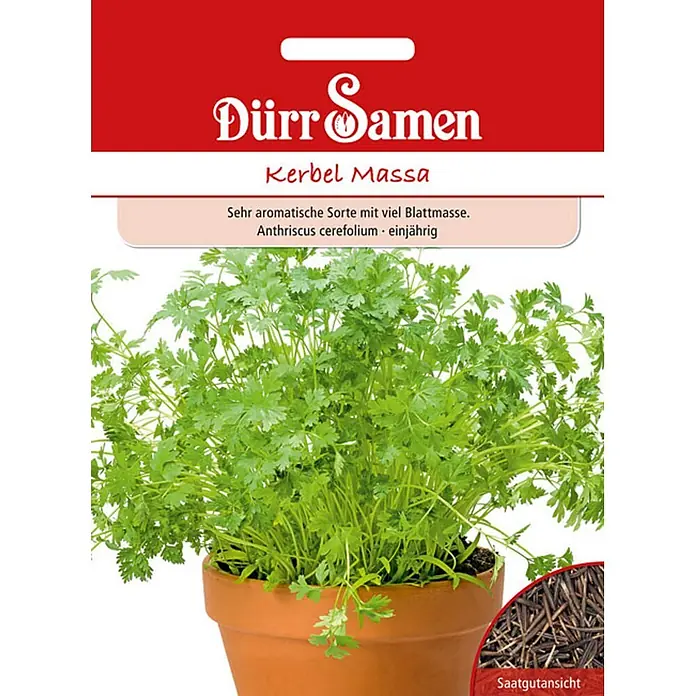 Dürr Samen Kräutersamen Kerbel - Anthriscus cerefolium, Saatzeit: März, Erntezeit: Mai - Rote Dürr Samen Kerbelsamen-Tüte, Sorte 'Massa', mit Bild von grünem Kerbel und Samen.