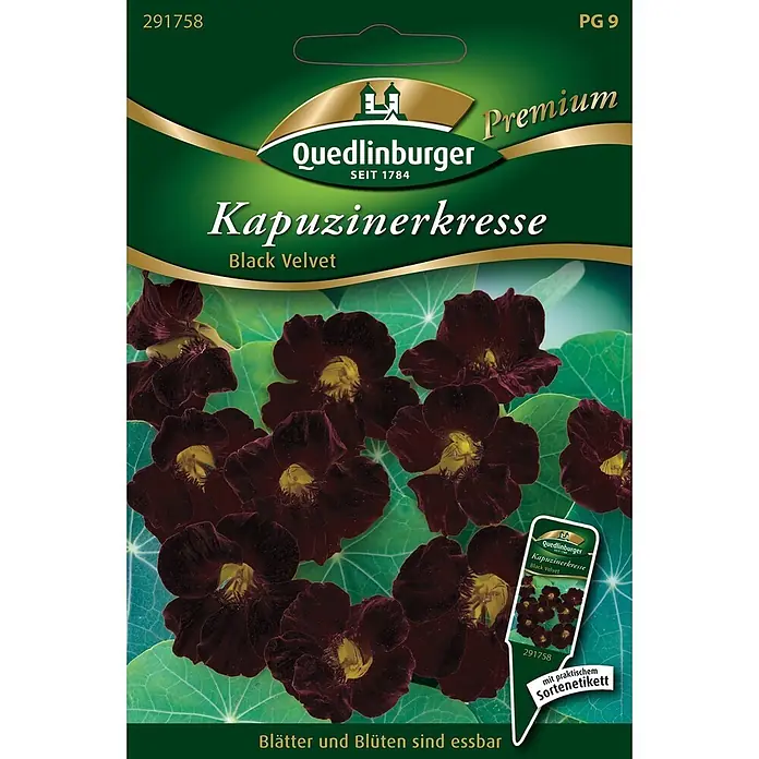 Quedlinburger SAATGUT Blumensamen Kapuzinerkresse - Tropaeolum majus, Dunkelrot - Samenpäckchen für Quedlinburger Kapuzinerkresse 'Black Velvet' mit dunkelroten essbaren Blüten und grünen Blättern.