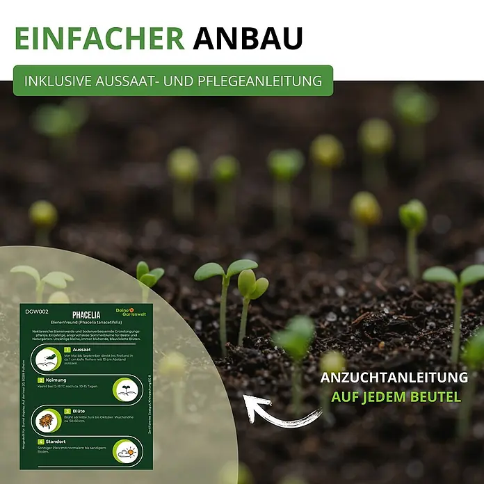 Deine Gartenwelt Phacelia Büschelschön -  - Phacelia Samenverpackung mit Anzuchtanleitung für einfachen Anbau und Pflege. Zeigt junge Keimlinge.
