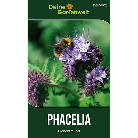 Deine Gartenwelt Phacelia Büschelschön