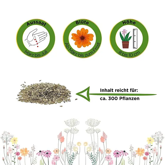 Deine Gartenwelt Blumensamen Gänseblümchen - Bellis perennis, Weiß - Samenhaufen mit Anbauanleitung: Aussaat, Blüte, Höhe (8-10cm) und reicht für ca. 300 Pflanzen.