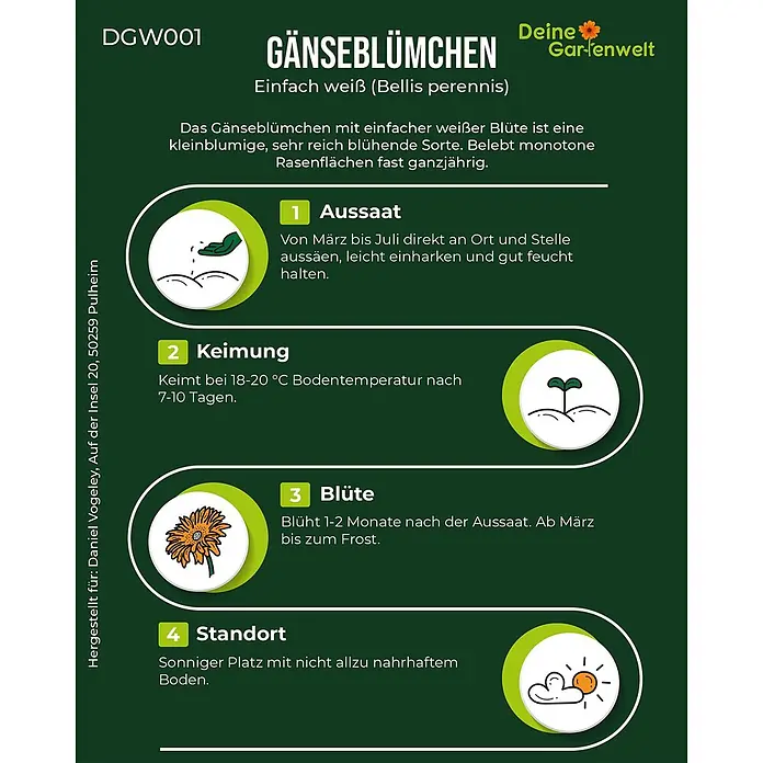 Deine Gartenwelt Blumensamen Gänseblümchen - Bellis perennis, Weiß - Informationsgrafik zur Pflanzung und Pflege von weißen Gänseblümchen (Bellis perennis) mit Anweisungen zu Aussaat, Keimung, Blüte und Standort.