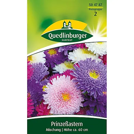 Quedlinburger SAATGUT Prinzeß-Astern Mischung