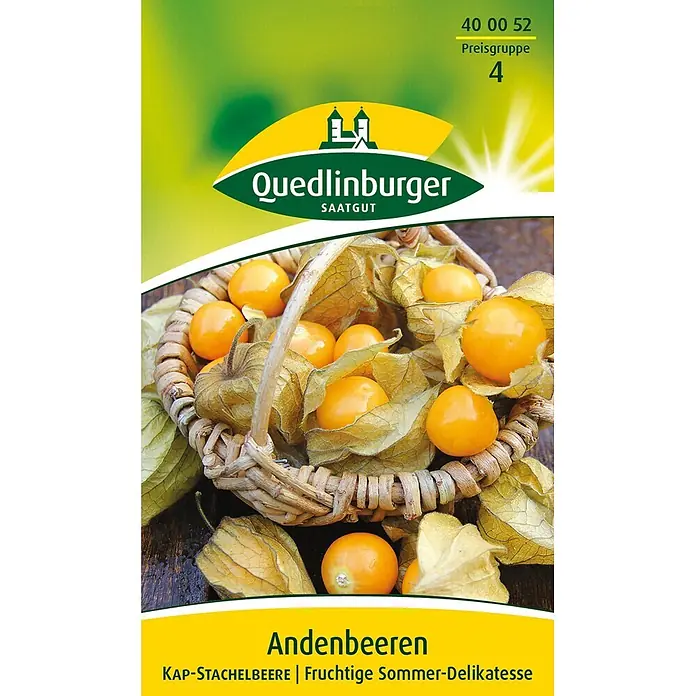 Quedlinburger SAATGUT Obstsamen Physalis - Physalis peruviana edulis, Erntezeit: August - Quedlinburger Andenbeeren-Saatgutpäckchen mit Korb voller reifer oranger Physalis-Früchte, teils in Hüllen.