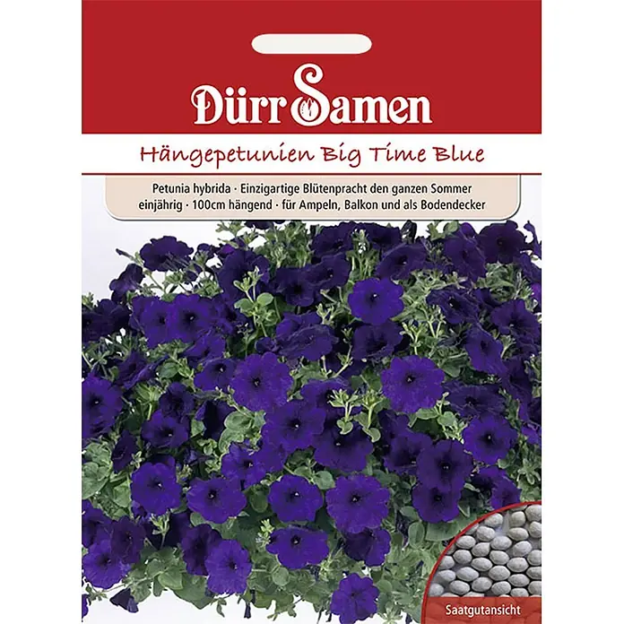 Dürr Samen Blumensamen Petunie - Petunia hybrida, Dunkelblau - Saatguttüte 'Hängepetunien Big Time Blue' mit dunkelvioletten Blüten und Samenansicht.