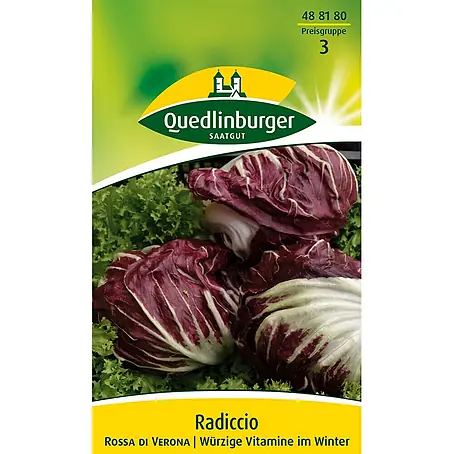 Quedlinburger SAATGUT Radicchio Rossa di Verona