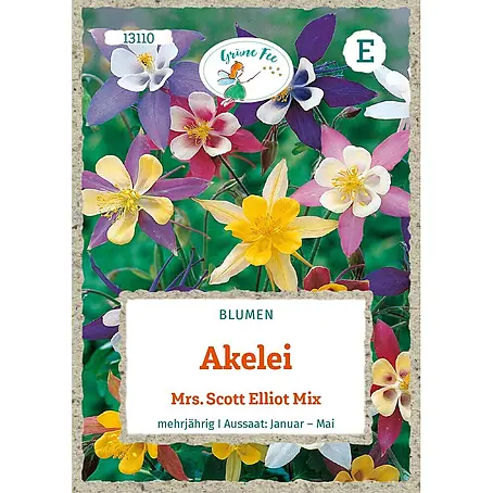 Grüne Fee Akelei Mrs. Scott Elliot Mix