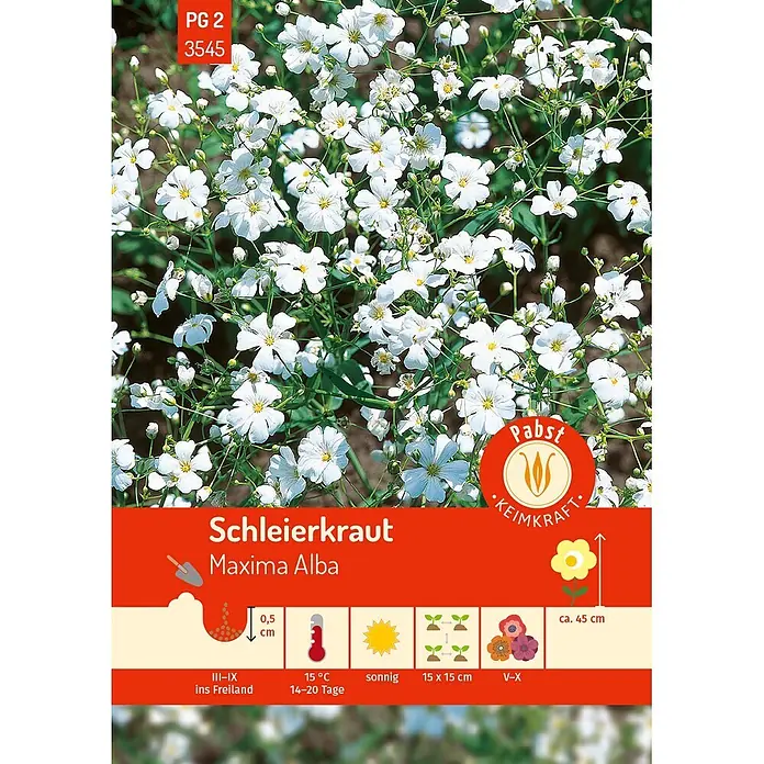 Pabst Keimkraft Blumensamen Schleierkraut - Gypsophila elegans M. Bieb., Weiß - Samenpäckchen für Schleierkraut Maxima Alba, zeigt zahlreiche kleine weiße Blüten und Pflanzinformationen.