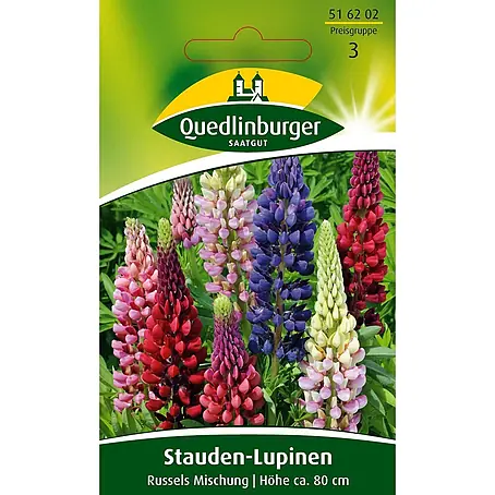 Quedlinburger SAATGUT  Blumensamen Lupine