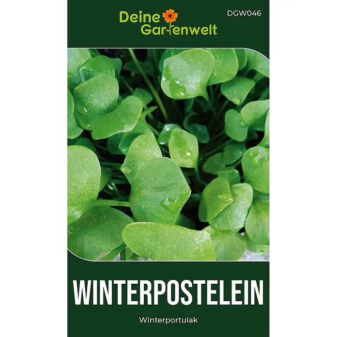 Deine Gartenwelt Winterpostelein Winterportulak -  - Saatgutpackung für Winterpostelein mit Abbildung von frischen grünen Blättern mit Wassertropfen.