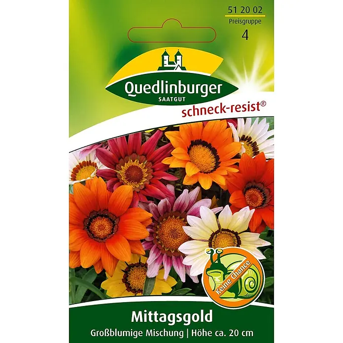 Quedlinburger SAATGUT Blumensamen Mittagsgold - Gazania rigens, Mehrfarbig - Samenpäckchen für Quedlinburger Mittagsgold (Gazania) Blumen mit bunter, schneckenresistenter Mischung großer Blüten, Höhe ca. 20 cm.