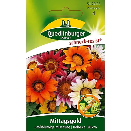 Quedlinburger SAATGUT  Blumensamen Mittagsgold