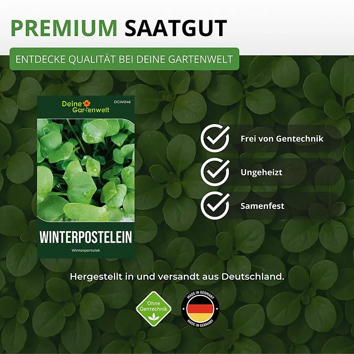 Deine Gartenwelt Winterpostelein Winterportulak -  - Samenpäckchen für Winterpostelein von Deine Gartenwelt, mit Premium, gentechnikfreiem Saatgut.