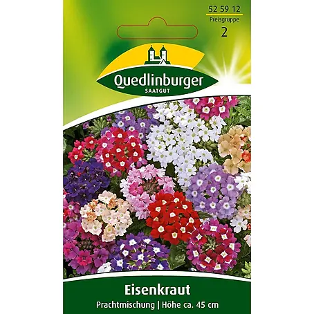 Quedlinburger SAATGUT Eisenkraut