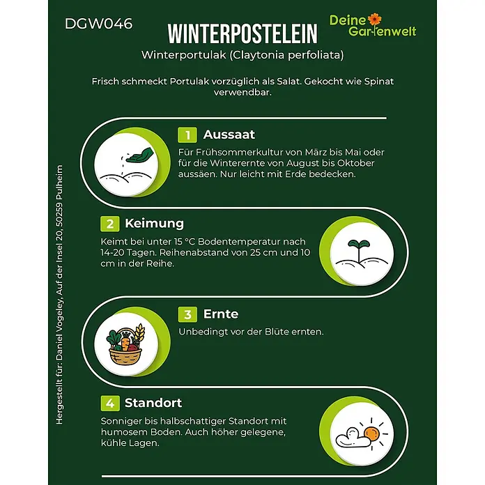 Deine Gartenwelt Winterpostelein Winterportulak -  - Anbauanleitung für Winterportulak (Claytonia perfoliata) mit Schritten für Aussaat, Keimung, Ernte und Standort.