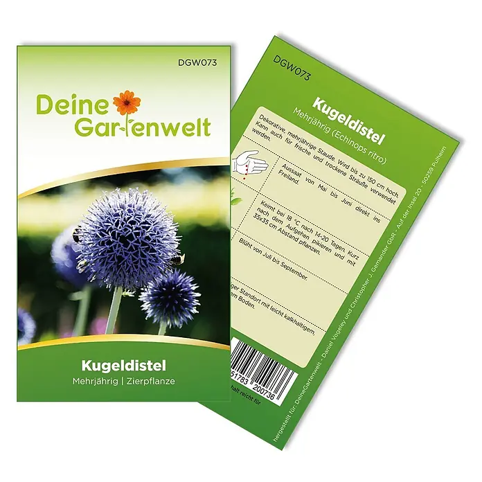 Deine Gartenwelt Kugeldistel -  - Samenpäckchen für Kugeldistel (Echinops ritro) in Grün mit Bild und Infos zu Anbau und Pflanze.