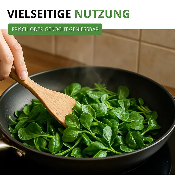 Deine Gartenwelt Winterpostelein Winterportulak -  - Hand rührt frische Blattsalate in einer schwarzen Pfanne mit einem Holzpfannenwender.