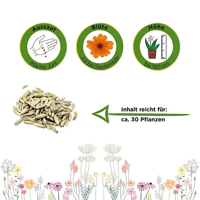Deine Gartenwelt Kugeldistel -  - Samen und Icons mit Details zur Aussaat (Mai-Juni), Blüte (Juli-Sept.), Höhe (bis 150cm) und Inhalt für ca. 30 Pflanzen.