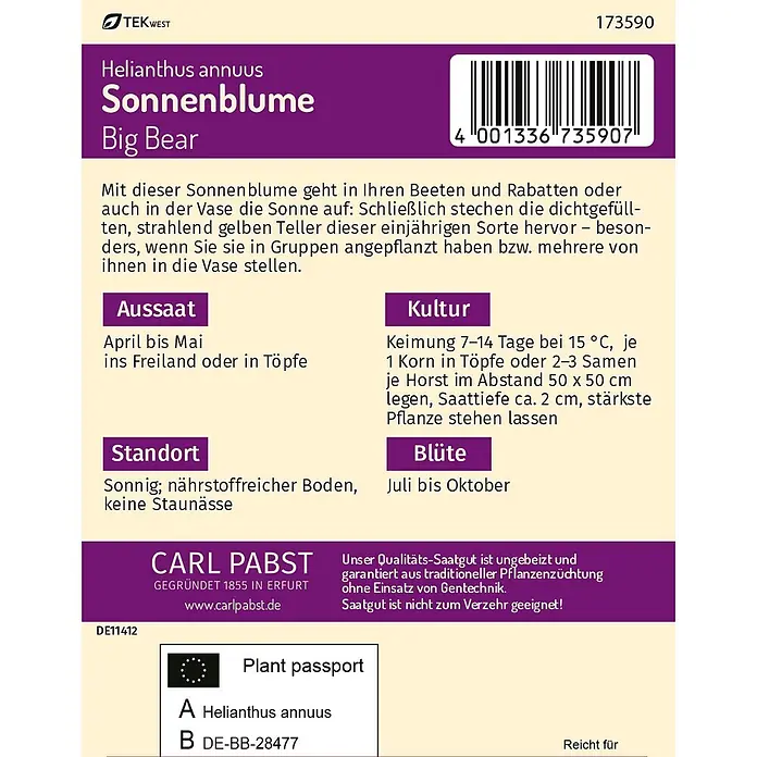 Pabst Keimkraft Blumensamen Sonnenblume - Helianthus annuus L., Gelb - Samenpäckchen für 'Helianthus annuus Sonnenblume Big Bear' mit Barcode, Produktinformationen und Pflanzenpass.