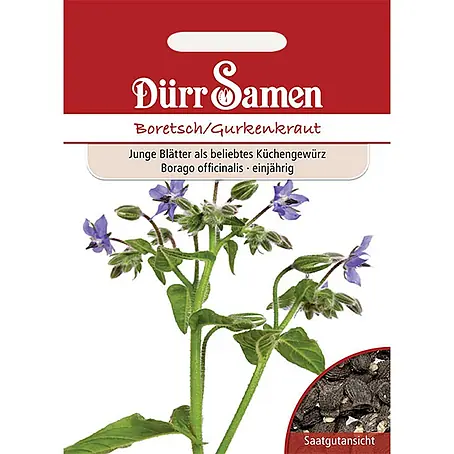 Dürr Samen  Kräutersamen Borretsch