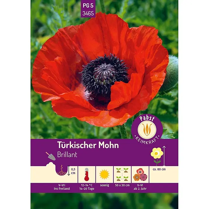 Pabst Keimkraft Blumensamen Mohn - Papaver rhoeas L., Rot - Roter "Türkischer Mohn Brillant" mit Anweisungen zur Aussaat: 0,5 cm Tiefe, sonnig, 50x30 cm Abstand, ca. 80 cm hoch, Blüte V-VI.