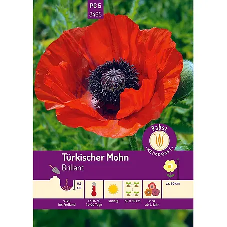 Pabst Keimkraft  Blumensamen Mohn