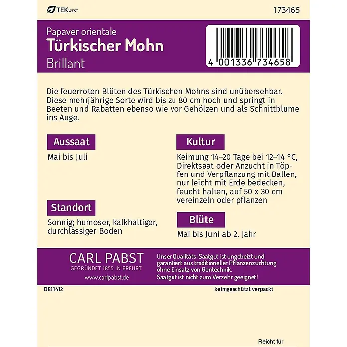 Pabst Keimkraft Blumensamen Mohn - Papaver rhoeas L., Rot - Samentüte für Türkischen Mohn (Papaver orientale 'Brillant') mit lila-weißem Design, Anbauanleitung und Barcode.
