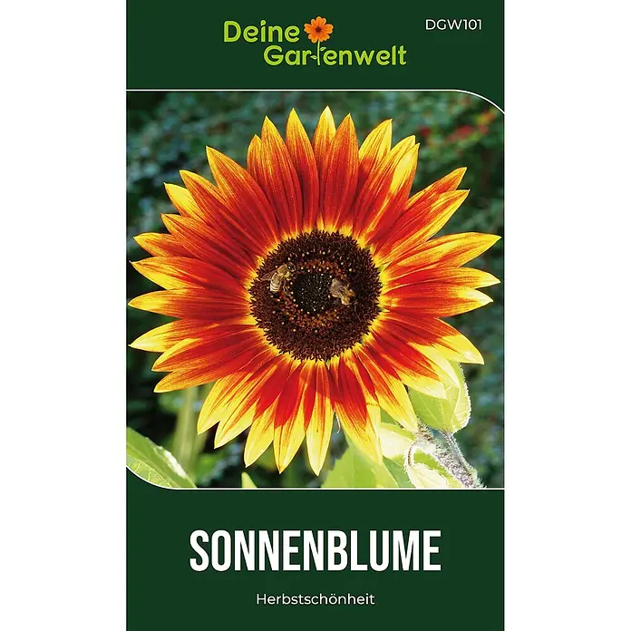 Deine Gartenwelt Sonnenblumen Herbstschönheit -  - Dunkelgrüne Samentüte mit leuchtend rot-gelber Sonnenblume und zwei Bienen.