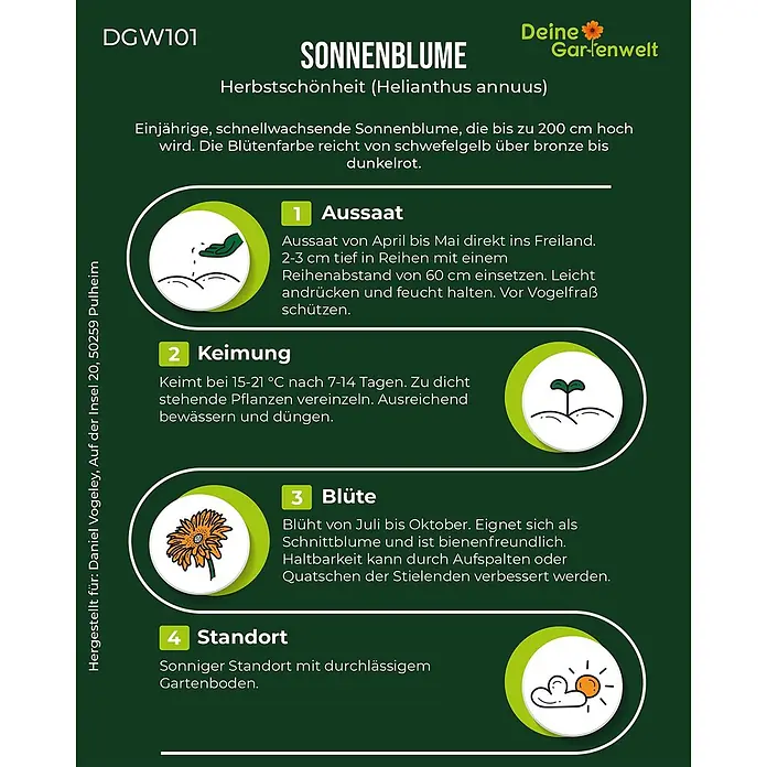 Deine Gartenwelt Sonnenblumen Herbstschönheit -  - Infografik-Anleitung für Sonnenblumen mit Schritten für Aussaat, Keimung, Blüte und Standort.