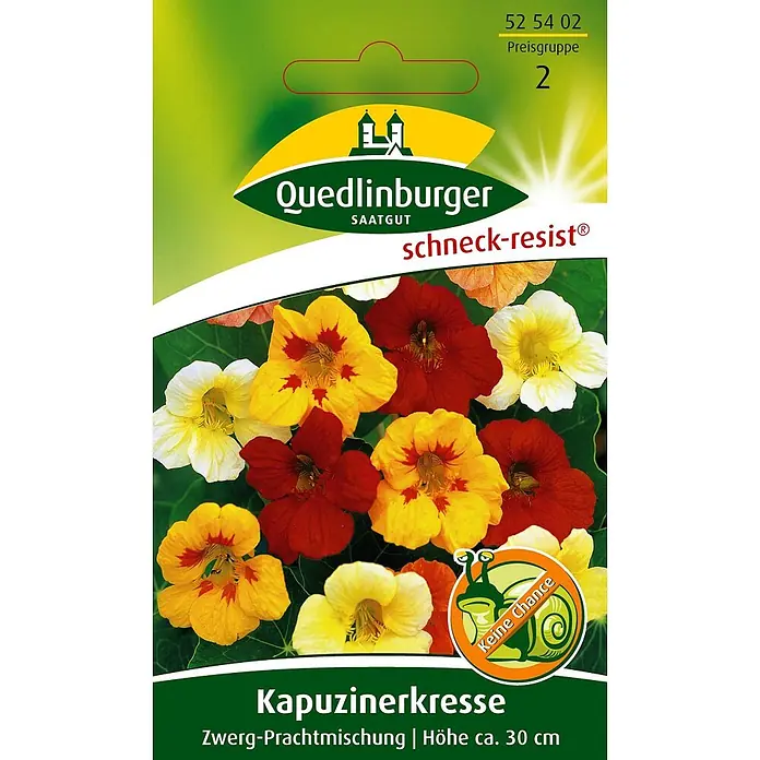 Quedlinburger SAATGUT Zwerg-Kapuzinerkresse Prachtmischung -  - Samenpäckchen für schneckenresistente Zwerg-Kapuzinerkresse mit roten, gelben und weißen Blüten, Höhe ca. 30 cm.