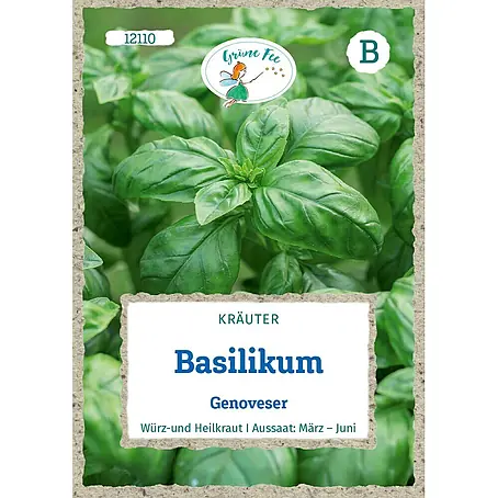 Grüne Fee  Kräutersamen Basilikum