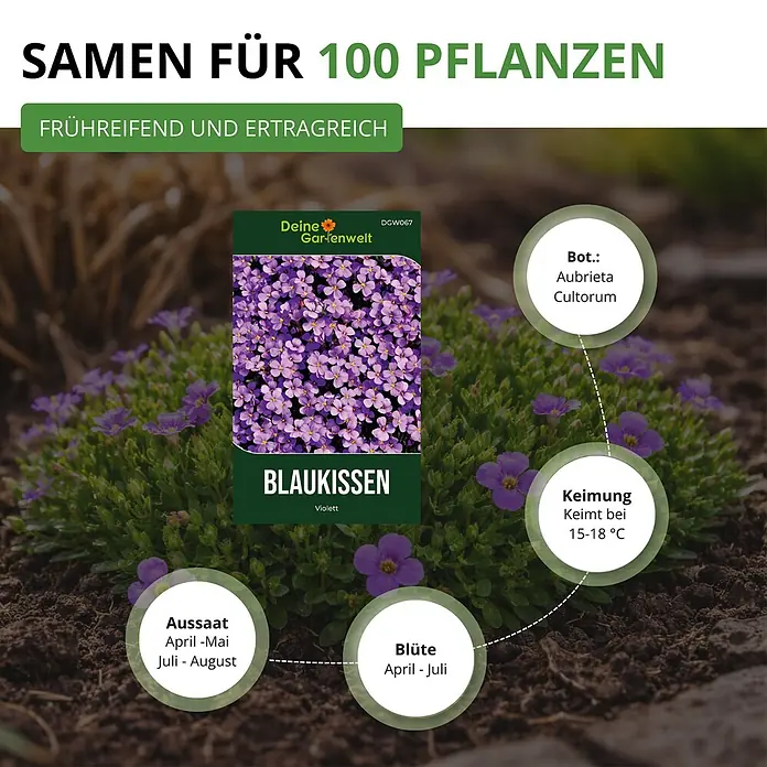 Deine Gartenwelt Blaukissen Violett -  - Samenpäckchen für Aubrieta 'Blaukissen' mit violetten Blüten und Angaben zu Aussaat, Blüte und Keimung.