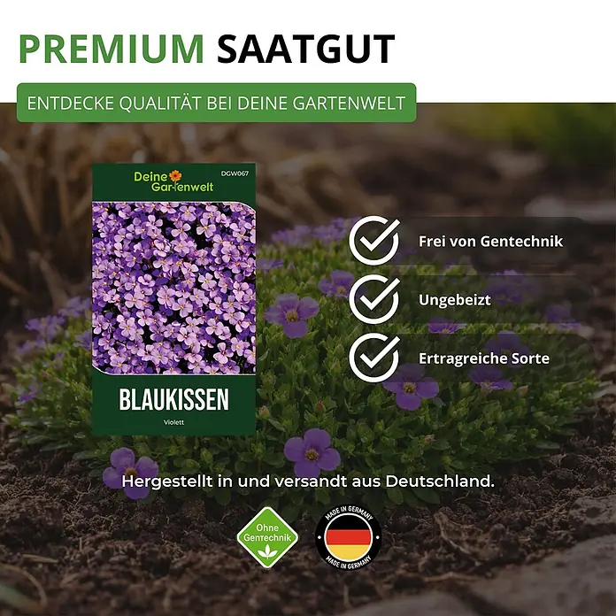 Deine Gartenwelt Blaukissen Violett -  - Premium Blaukissen (Aubrieta) Samenpäckchen mit violetten Blüten, gentechnikfrei.
