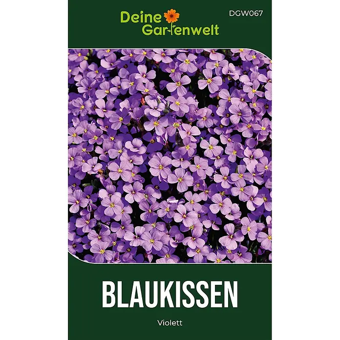 Deine Gartenwelt Blaukissen Violett -  - Samentüte für Blaukissen (Aubrieta) mit violetten Blüten.