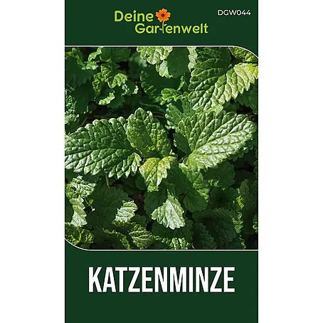 Deine Gartenwelt Katzenminze