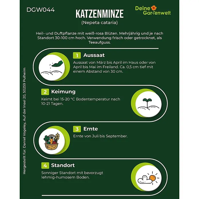 Deine Gartenwelt Katzenminze -  - Informationskarte für den Anbau von Katzenminze (Nepeta cataria) mit Details zu Aussaat, Keimung, Ernte und Standort.