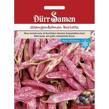 Dürr Samen Stangenbohnen Borlotto-Typ