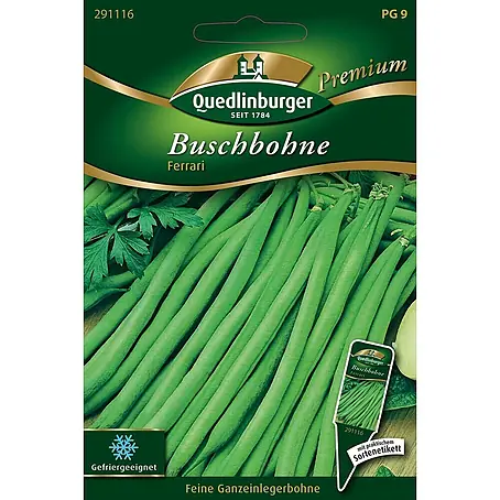 Quedlinburger SAATGUT  Gemüsesamen Buschbohne