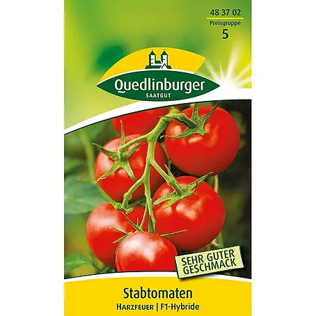 Quedlinburger SAATGUT Stabtomaten Harzfeuer